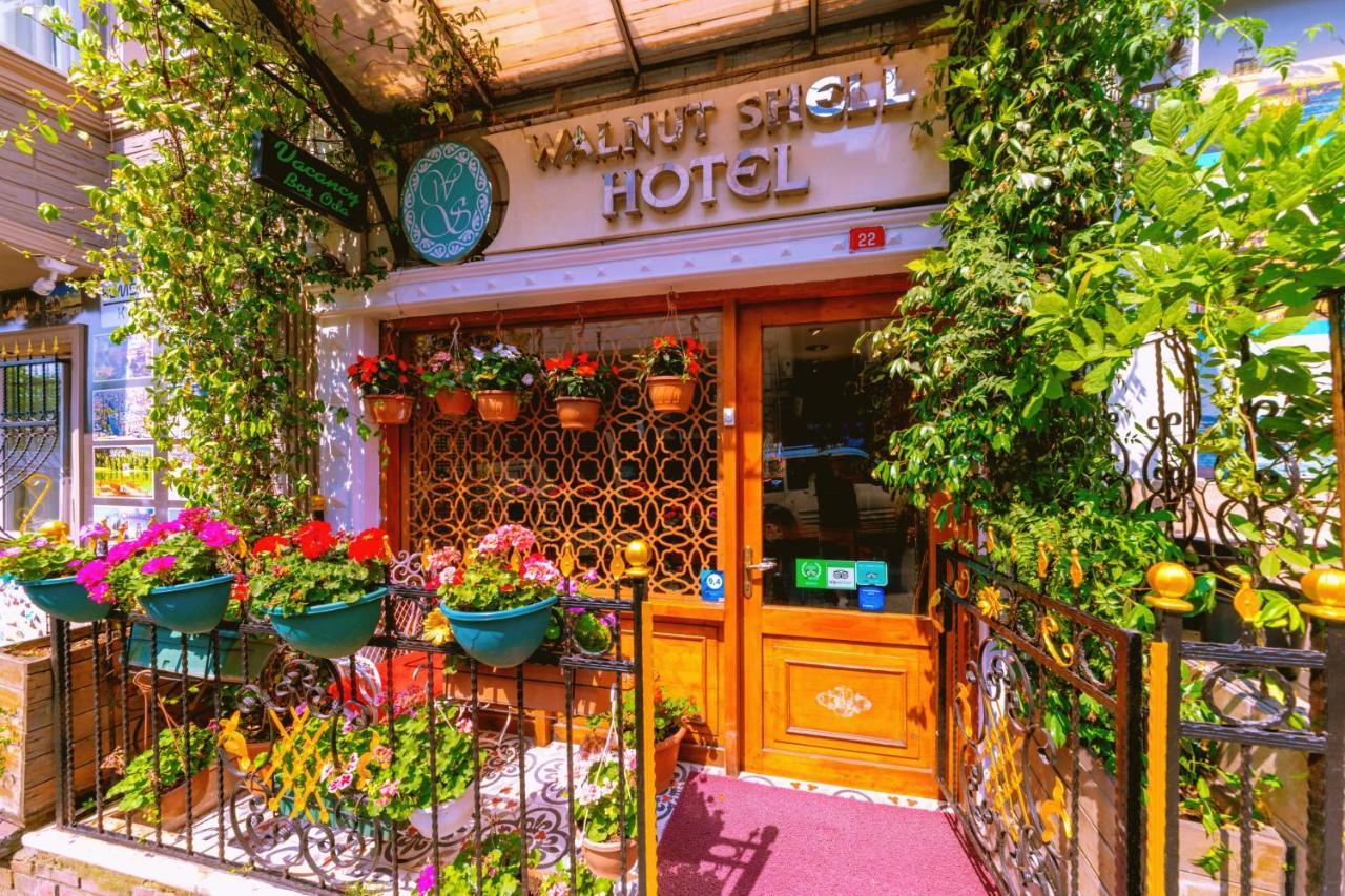 Walnut Shell Hotel — Fotoğraflar 3